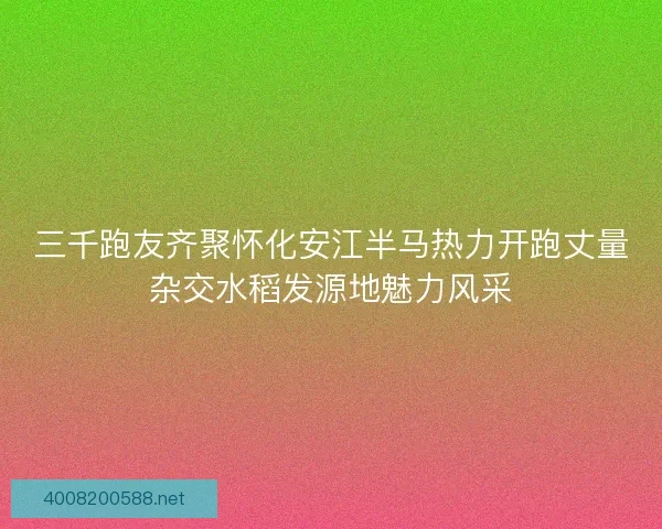 三千跑友齐聚怀化安江半马热力开跑丈量杂交水稻发源地魅力风采 三千跑友齐聚怀化安江半马热力开跑丈量杂交水稻发源地魅力风采